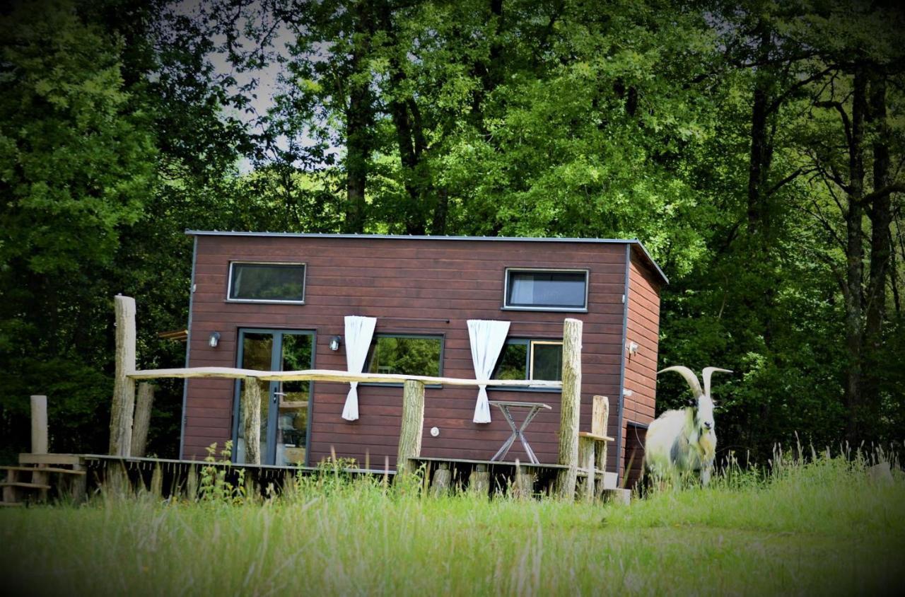 La Tiny House Terra Nostra Daire Saint-Bazile Dış mekan fotoğraf